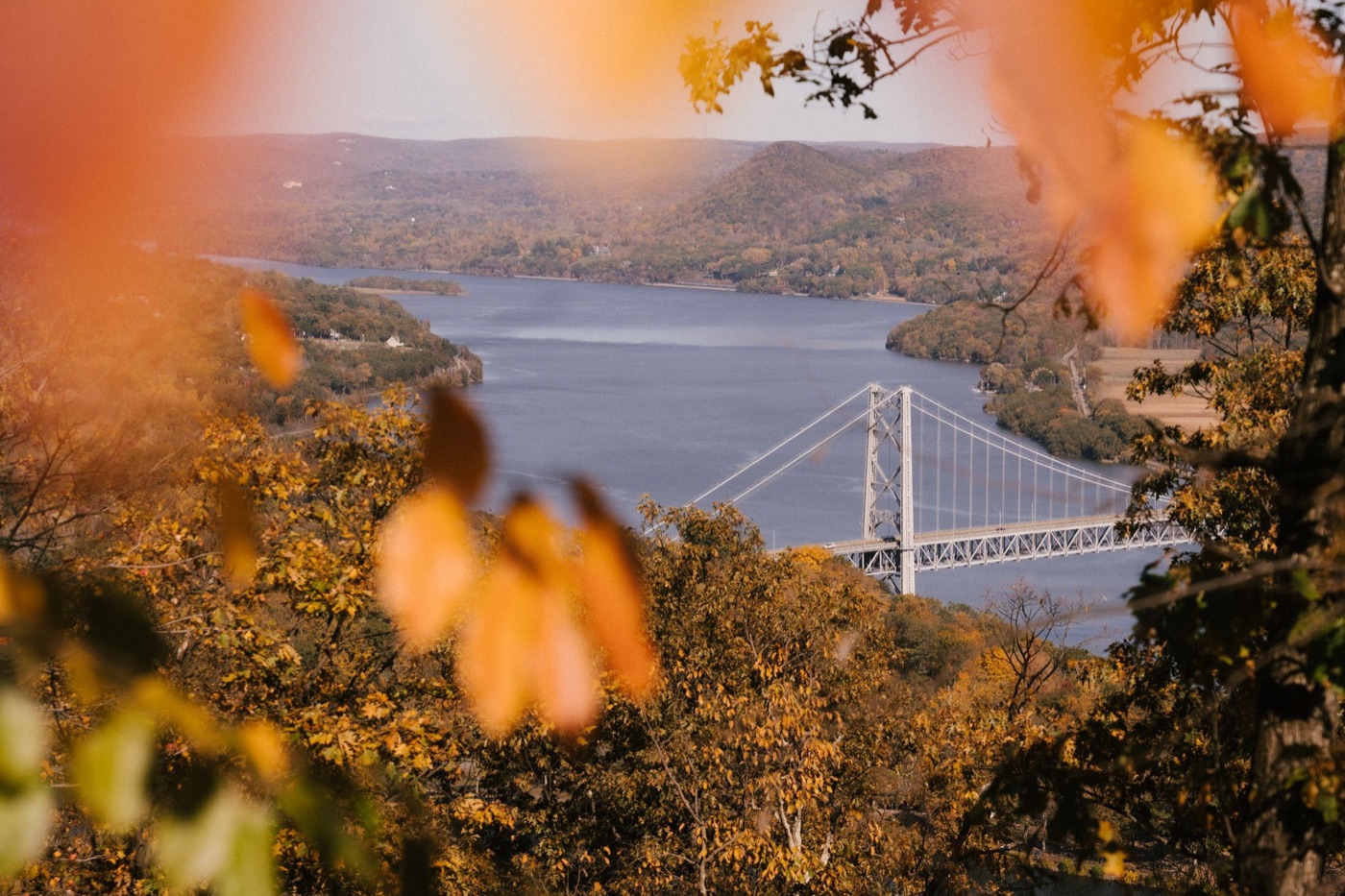 The Hudson River and Bear Mountain Bridge framed by golden autumn leaves